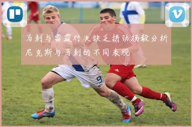 马刺与雷霆对决缺乏拼劲杨毅分析尼克斯与马刺的不同表现